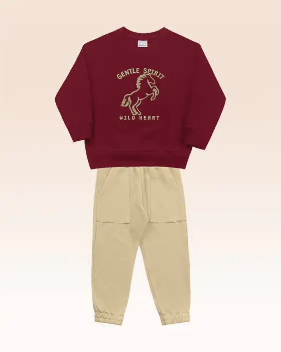 Conjunto masculino blusão/ calça moletom